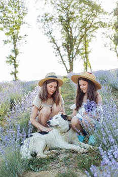 两个女孩坐在薰衣草田里，在晴朗的天空下抚摸着一只狗