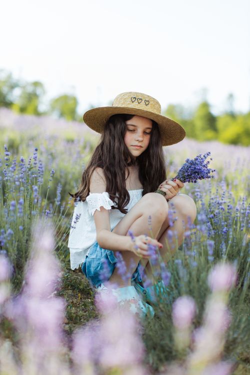 Free A young girl in a straw hat picking lavender flowers in a sunlit field. Stock Photo