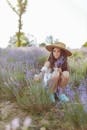 阳光明媚的田野里，一个戴着草帽的年轻女孩正在采摘薰衣草花，周围都是盛开的薰衣草植物