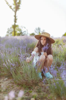 阳光明媚的田野里，一个戴着草帽的年轻女孩正在采摘薰衣草花，周围都是盛开的薰衣草植物