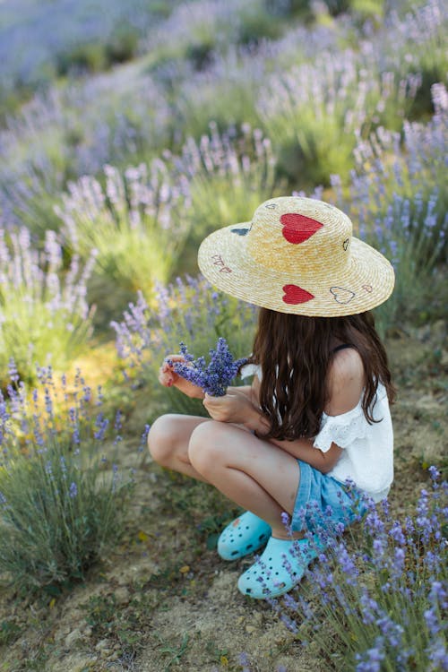 Foto de stock gratuita sobre blusa blanca, campo de flores, de espaldas,  lavanda (flor), niña, sentado, sombrero cafe, tiro vertical
