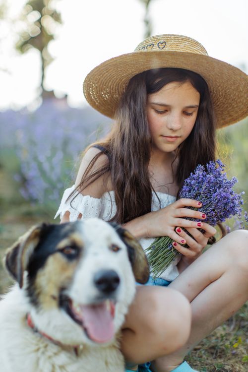 Free Young girl with brown hat holding lavender with a white dog beside her outdoors. Stock Photo