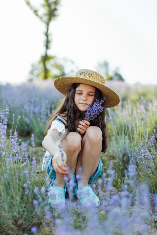 Young Girl Picking Flowers on the Lavender Field