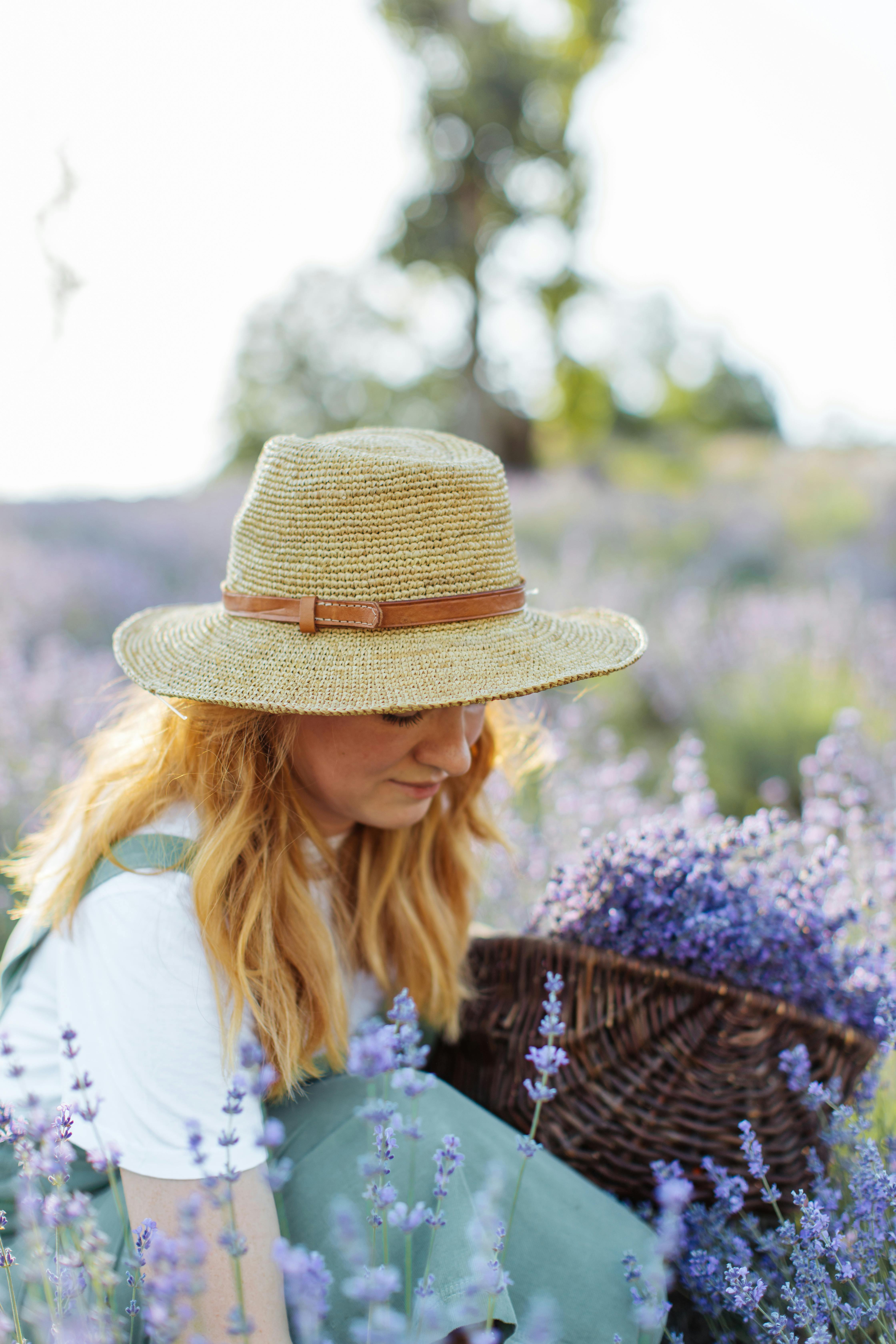 阳光明媚的田野里，一个戴草帽的女人正在采摘熏衣草