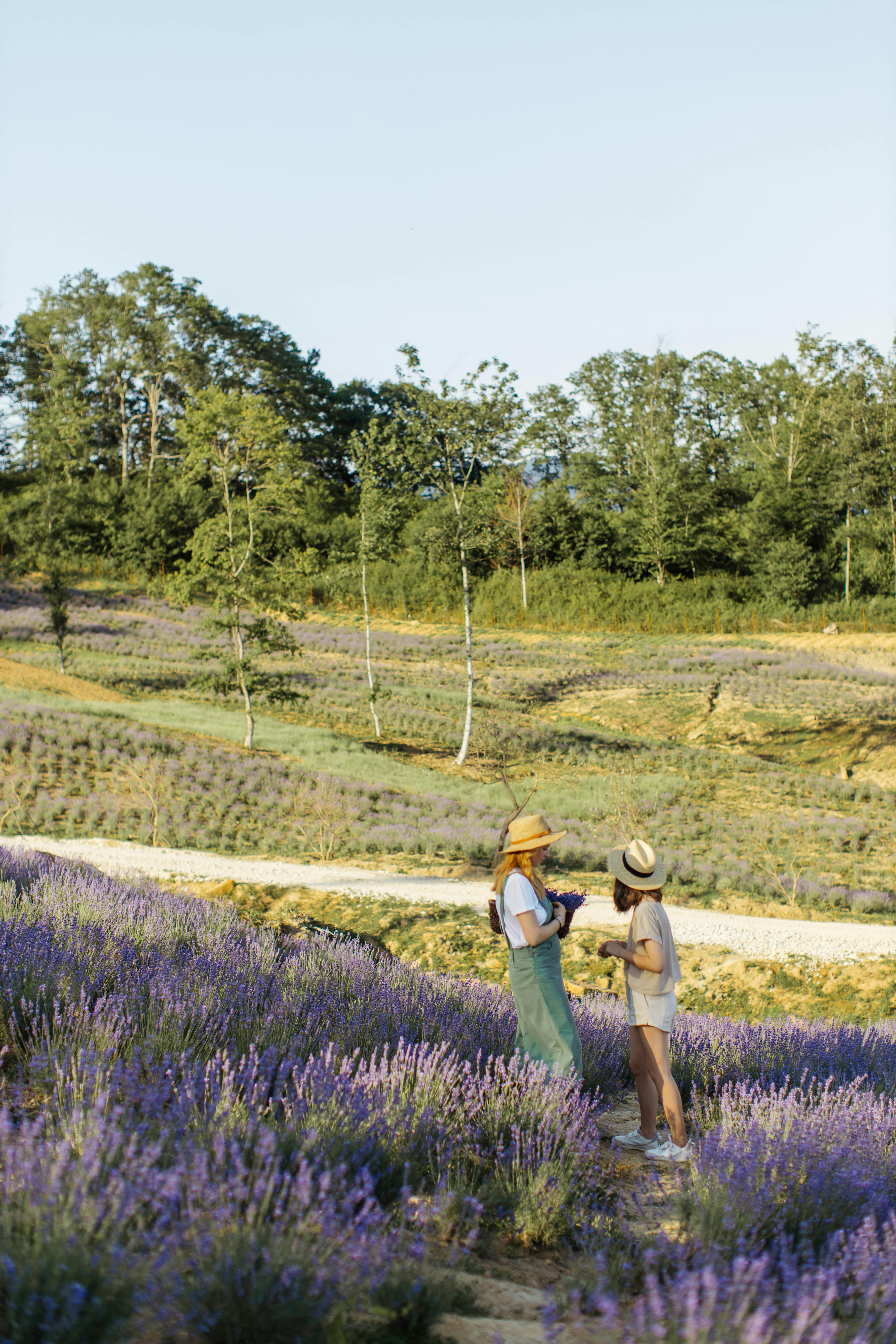 在晴朗的天空和夏日氛围下，两名女子在熏衣草田里享受宁静的时刻