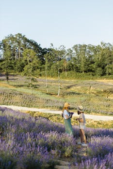在晴朗的天空和夏日氛围下，两名女子在熏衣草田里享受宁静的时刻