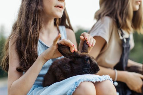 Free Two young girls holding a rabbit outdoors, showcasing a gentle moment of pet interaction. Stock Photo
