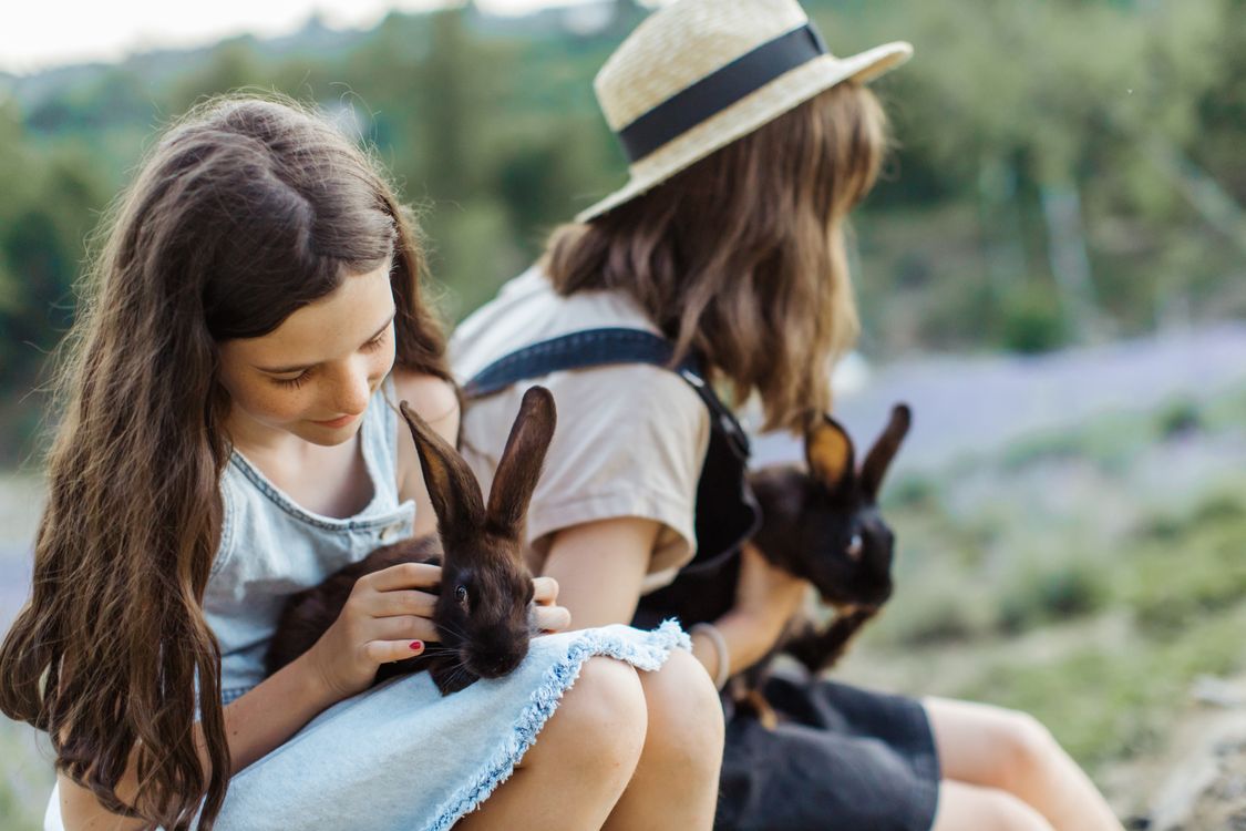 Young Girls Petting Brown Rabbit · Free Stock Photo