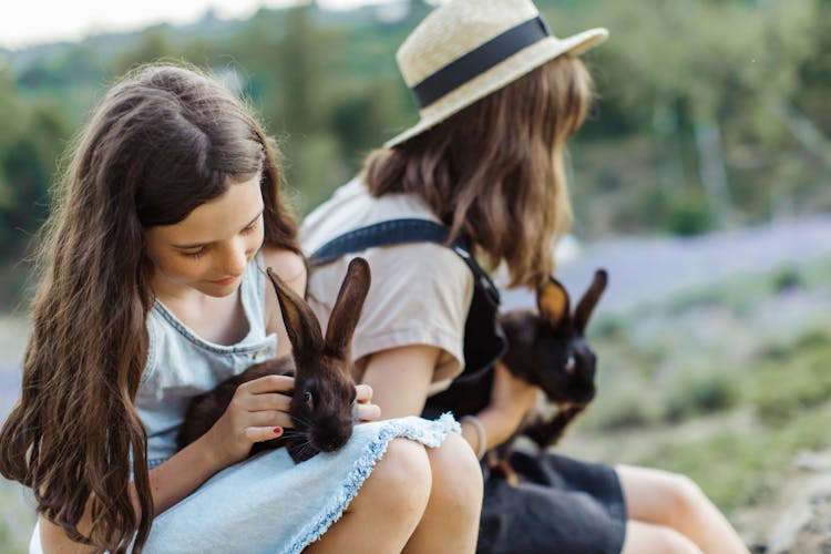 Young Girls Petting Brown Rabbit