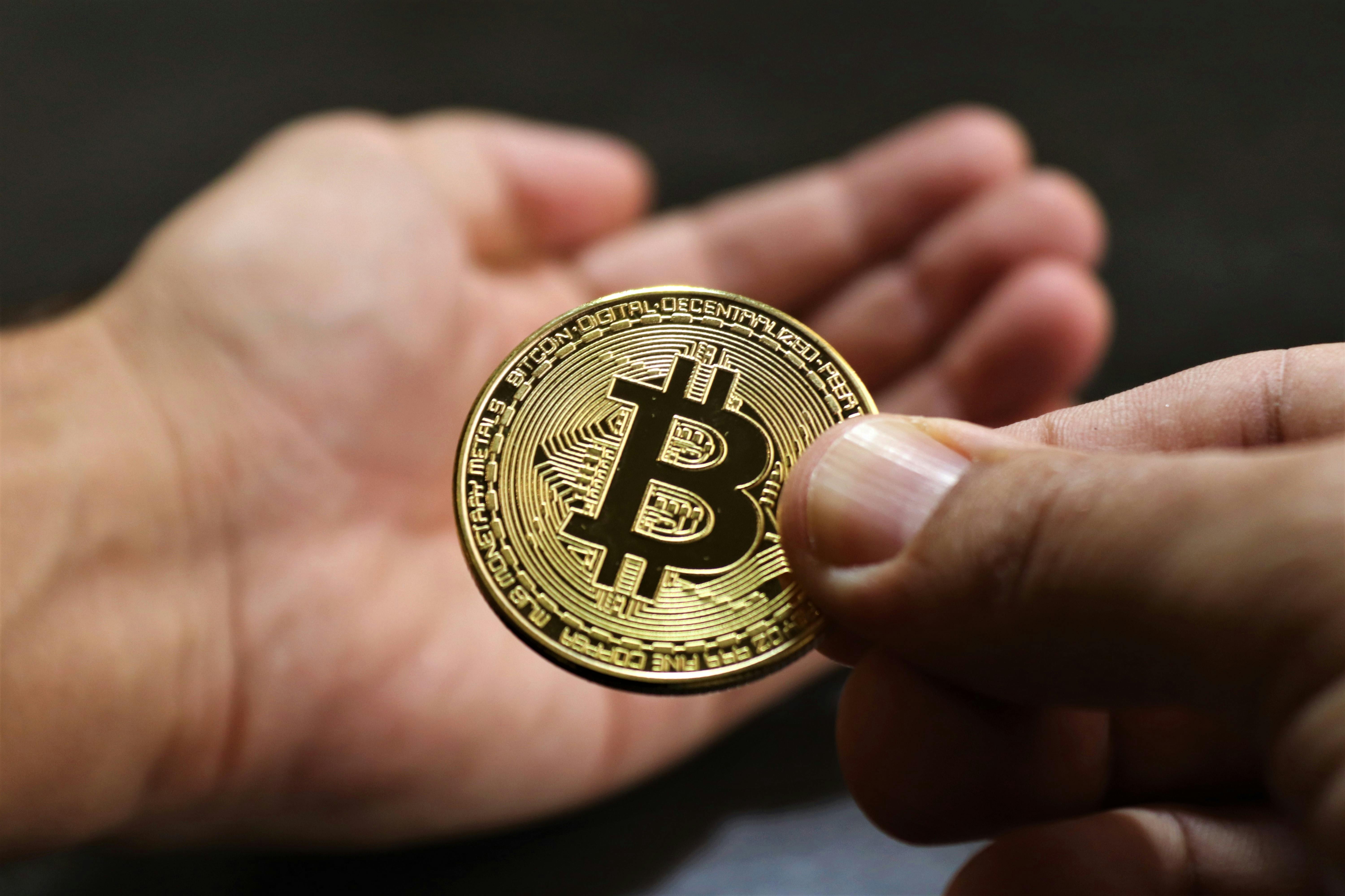 person holding bitcoin