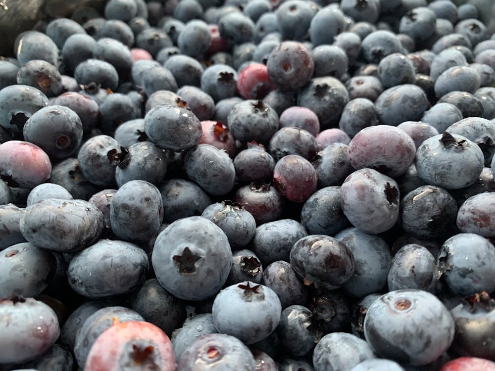 Close-Up Shot of Harvested Berries