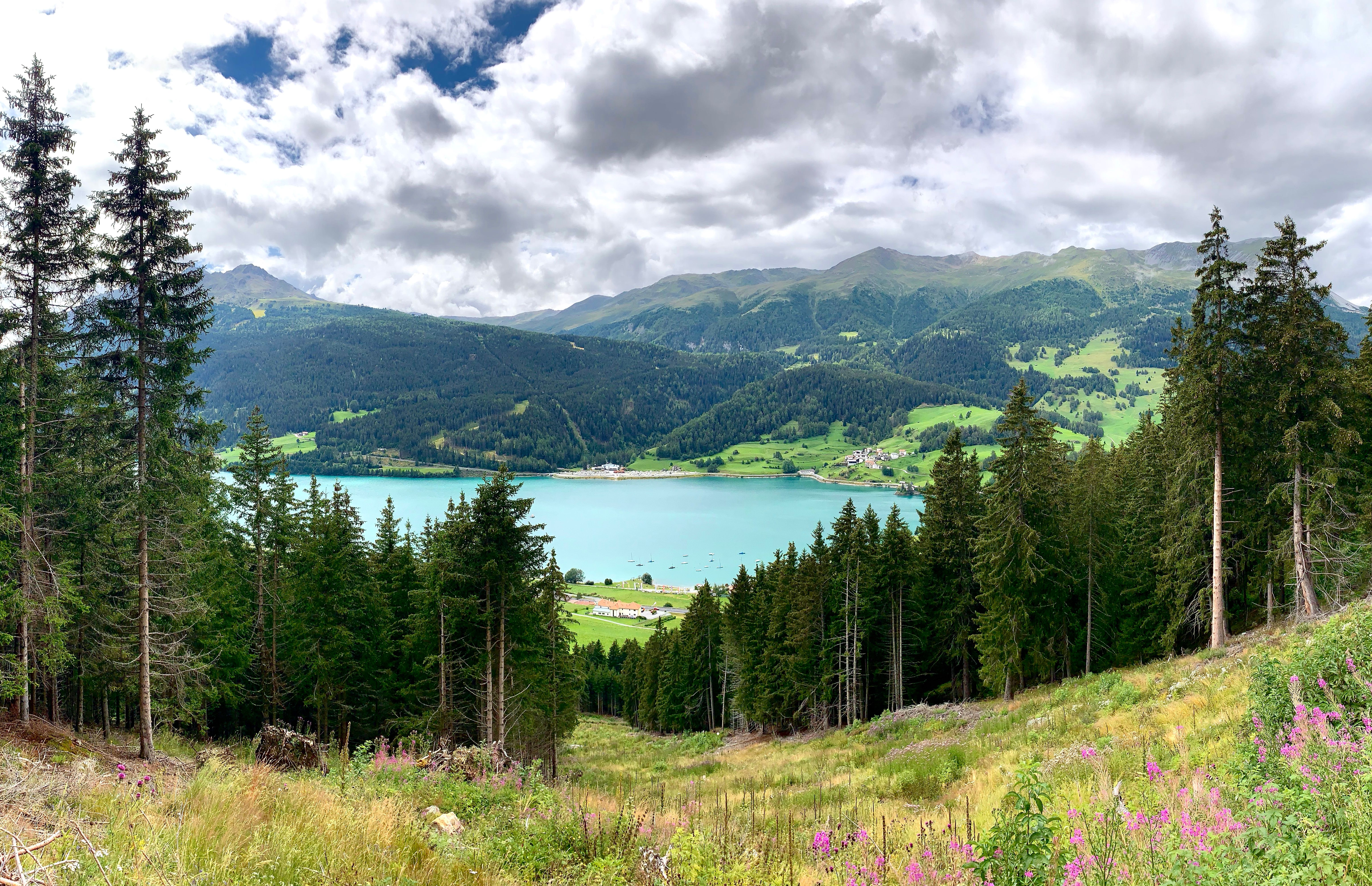 Picturesque landscape of peaceful blue lake surrounded by trees and mountains covered with green forest in cloudy summer day
