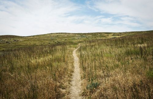 Free Explore a serene unpaved pathway winding through a lush meadow in Billings, Montana. Stock Photo