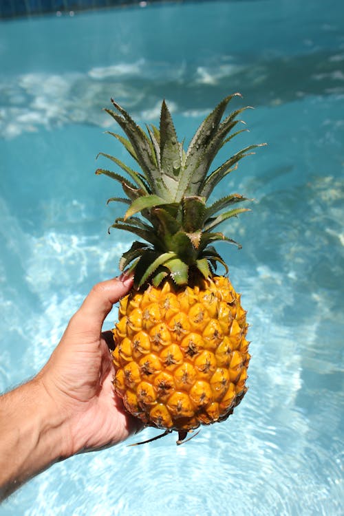 Person Holding Pineapple Fruit