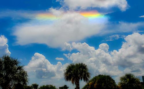 Free Vivid rainbow cloud over palm trees in a sunny Florida sky, Siesta Key Stock Photo
