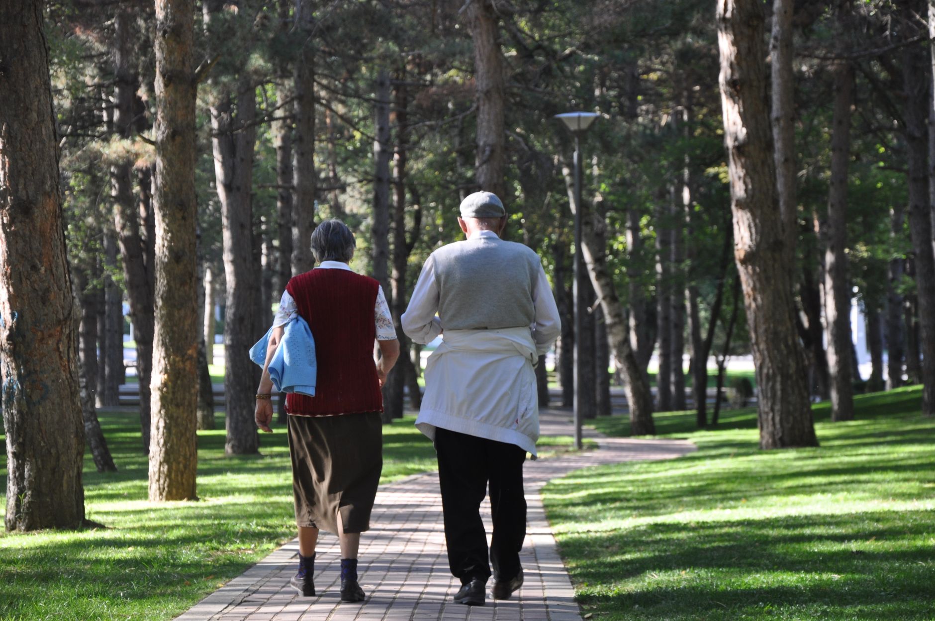An elderly couple walks down a tree-lined path in a peaceful park setting.