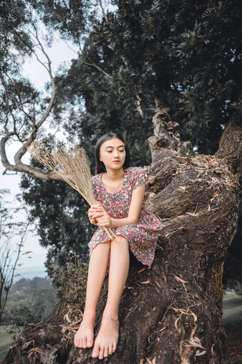 Full body of barefooted young dreamy  ethnic lady in summer dress sitting on tree trunk with dry spikes in hands and looking away