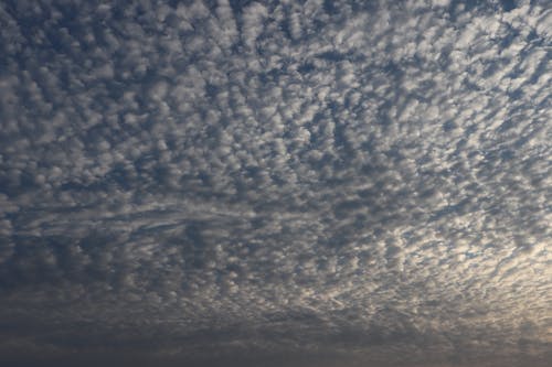 Imagine de stoc gratuită din amurg, atmosferă, cer cu nori