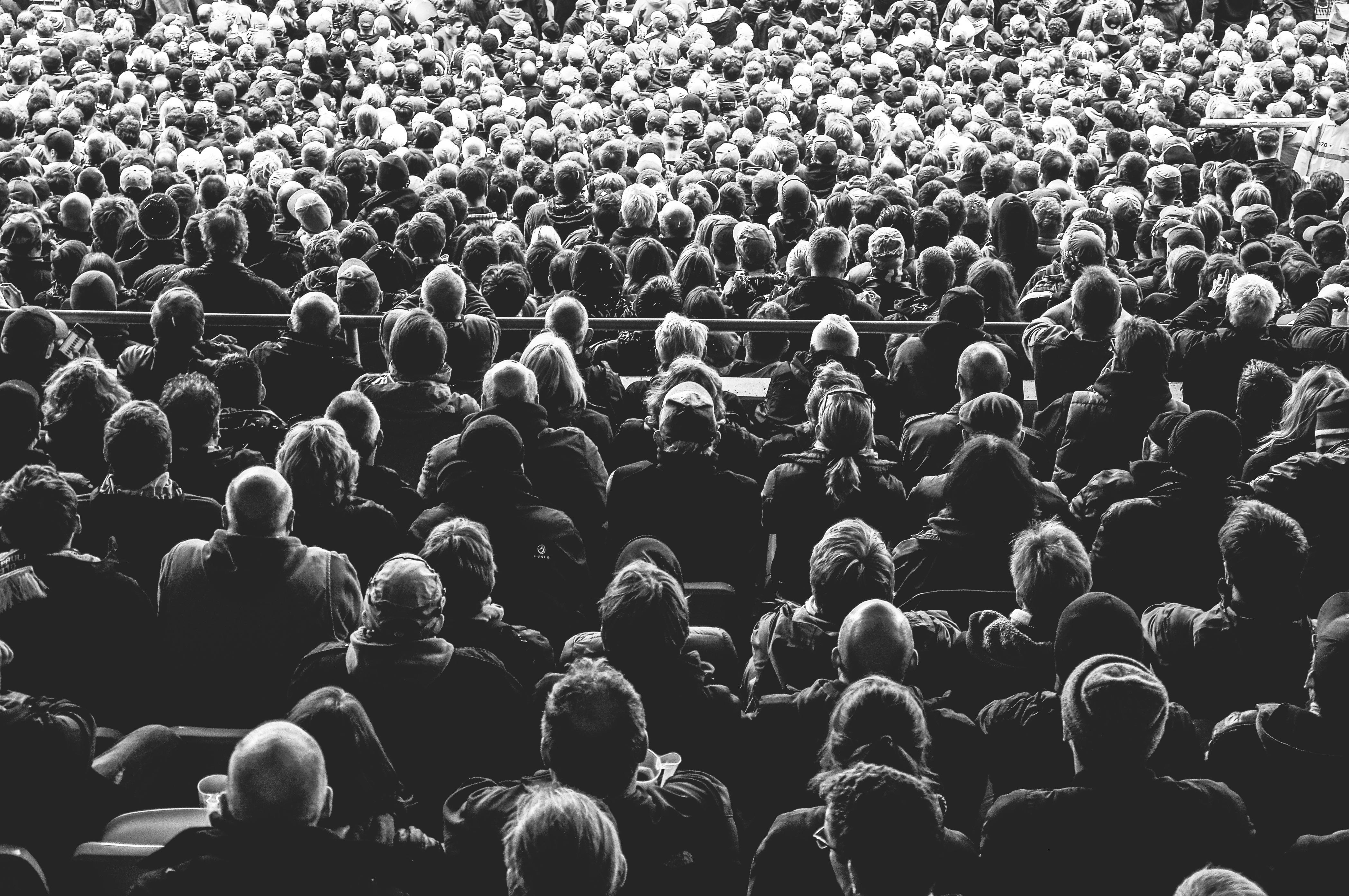 audience, black-and-white, cinema