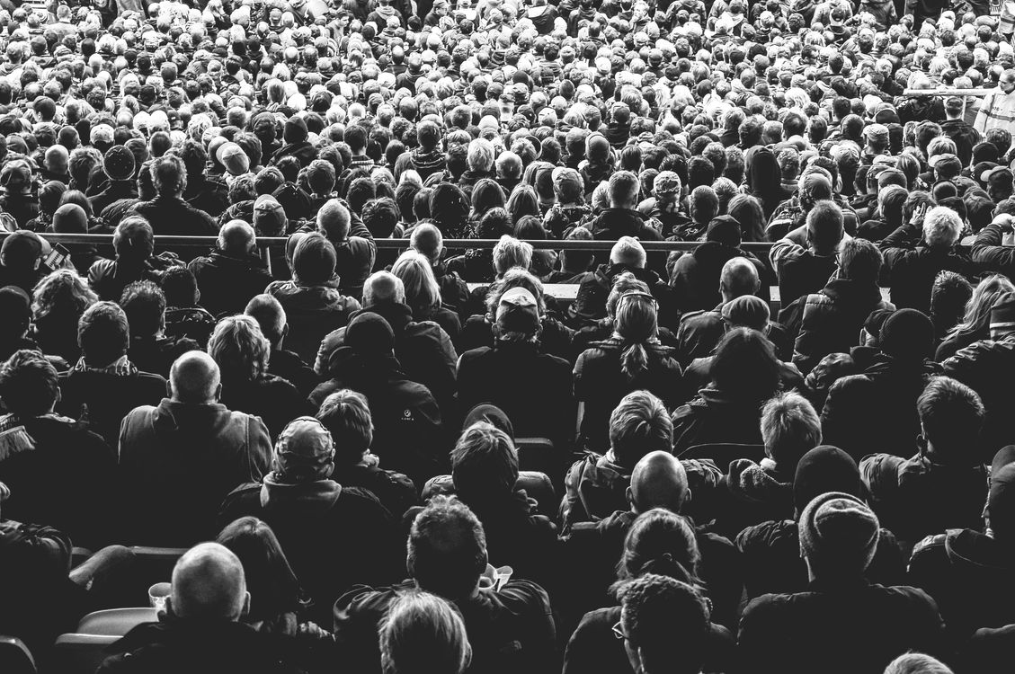 audience, black-and-white, cinema