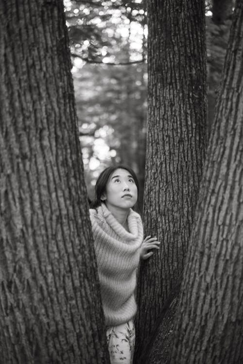 Dreamy ethnic woman standing between tree trunks