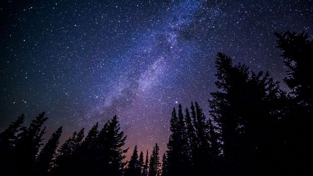 Free stock photo of sky, night, forest, stars