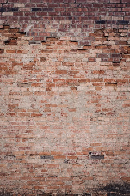 Free Brick Wall of a Decaying Building Stock Photo