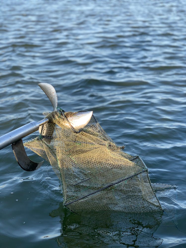 Fishing Net In Sea