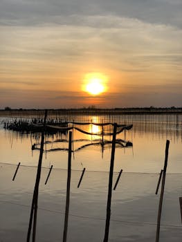 A peaceful sunset view reflecting over a calm bay with wooden fishing stakes.