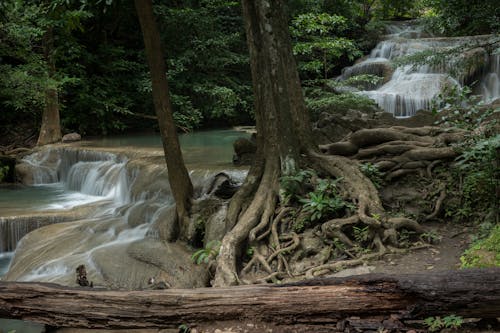 Ilmainen kuvapankkikuva tunnisteilla joki, kivet, luonto