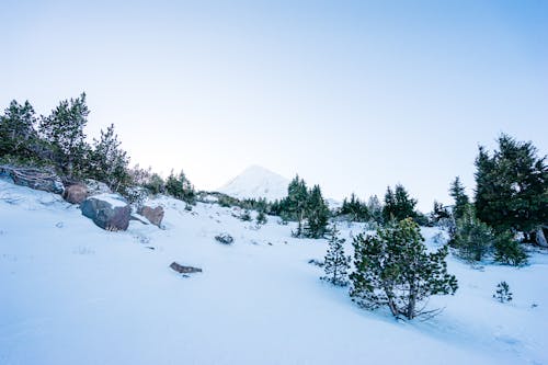 คลังภาพถ่ายฟรี ของ ภูเขา, ฤดูหนาว, หิมะ