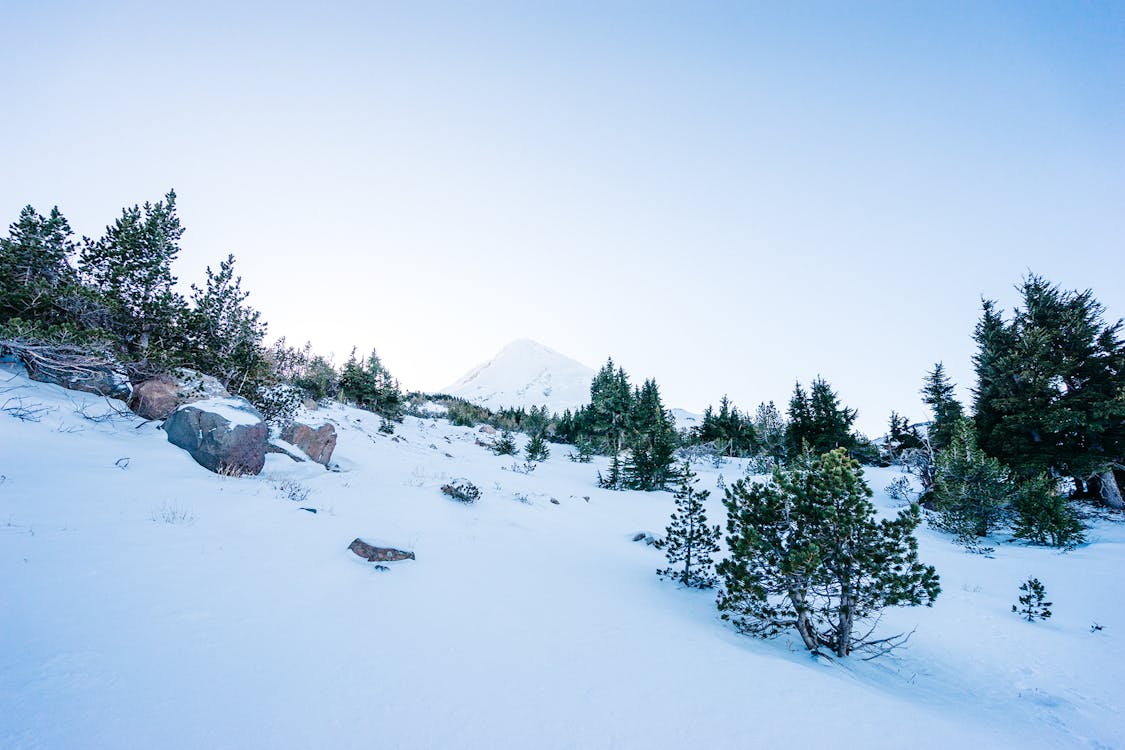 무료 겨울, 눈, 산의 무료 스톡 사진