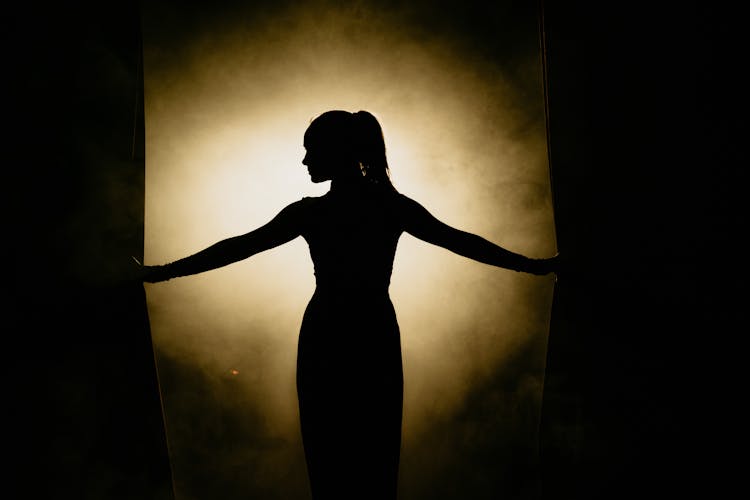 Silhouette Of Woman Standing On Stage