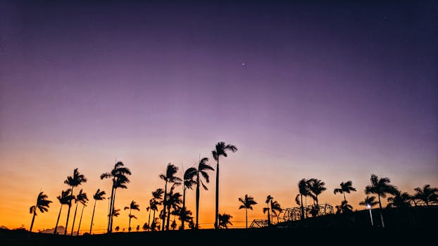 Stunning silhouette of palm trees at sunset with a vivid sky in the background.