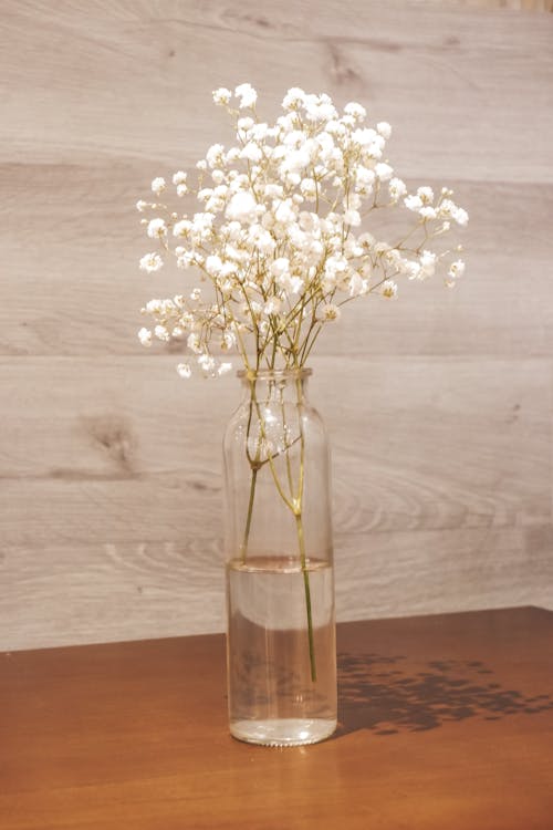 White Flowers in Clear Glass Vase