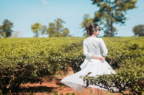 Woman in White Dress Standing Beside Green Plants