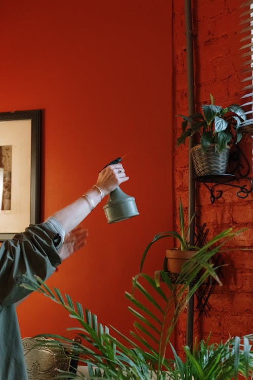 A Person Spraying Water with a Spray Bottle