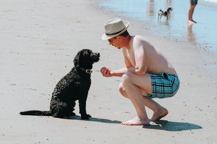 Man Talking To His Dog