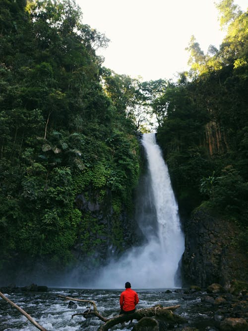 Person Looking at a Waterfall