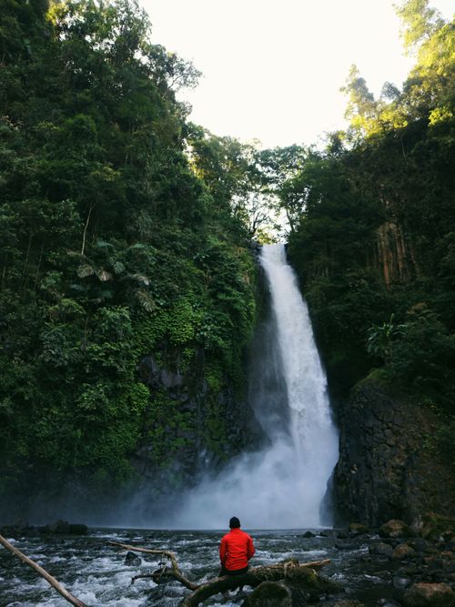 Free A person in a red jacket admiring a beautiful waterfall surrounded by lush greenery. Stock Photo