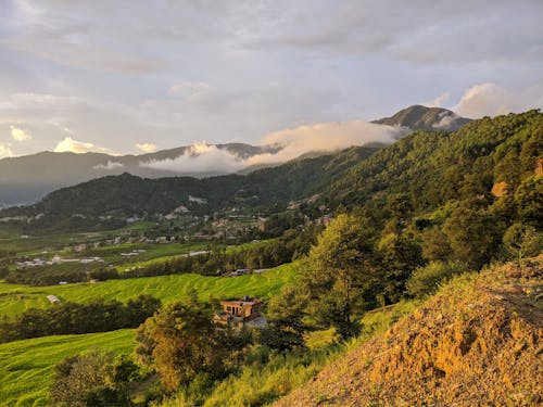 Forests and Grass on Hills and Mountains