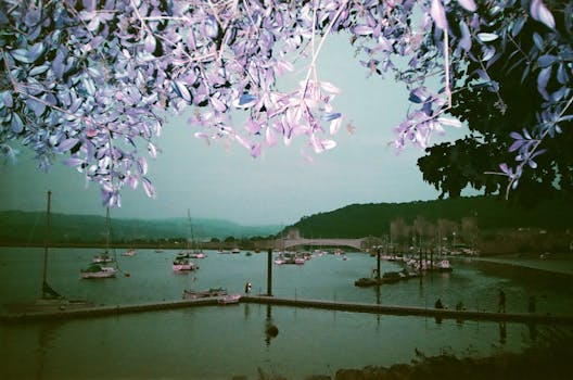 一个异想天开的创意项目：港口、帆船与五颜六色的树叶，完美融合