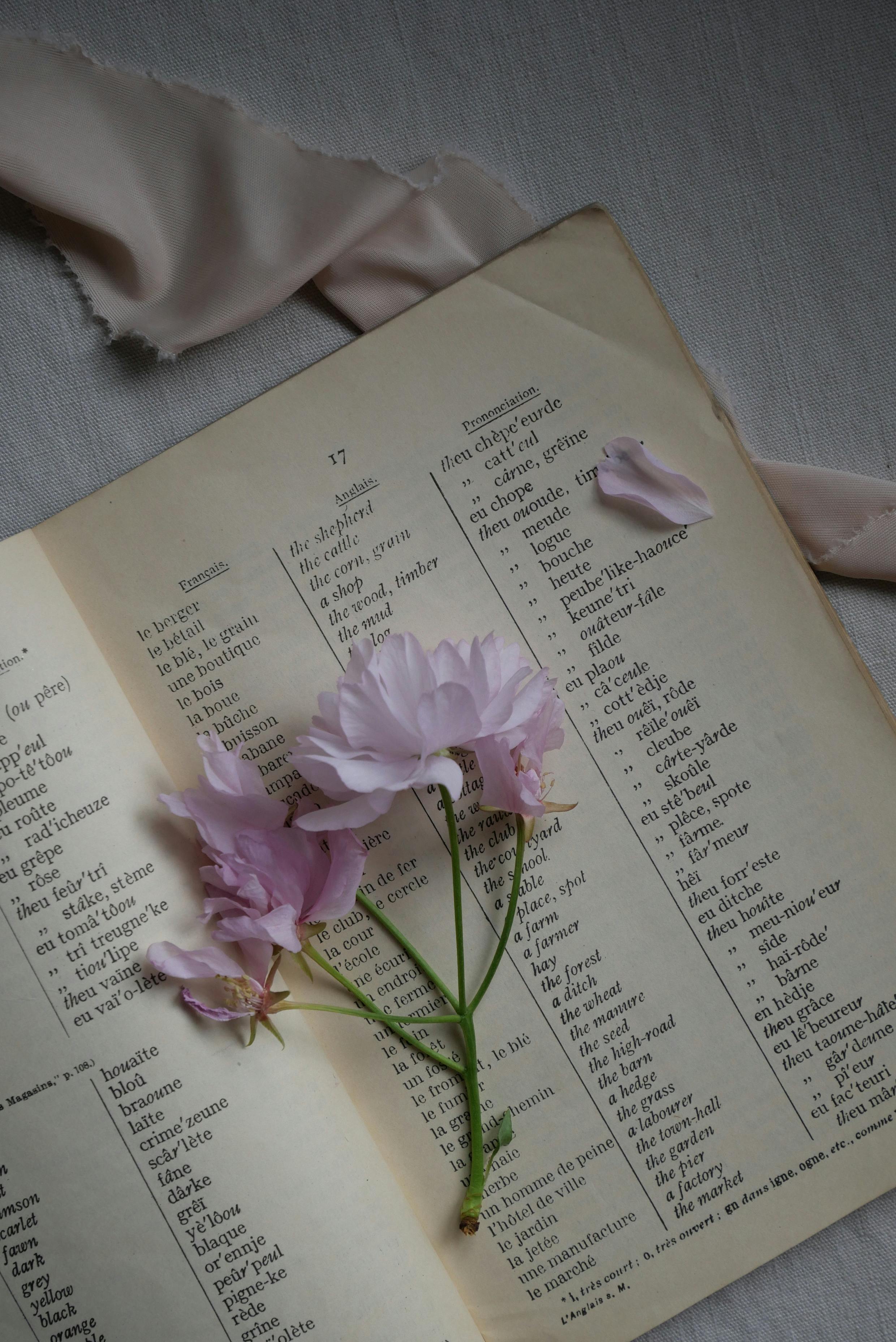 a flower on the open book