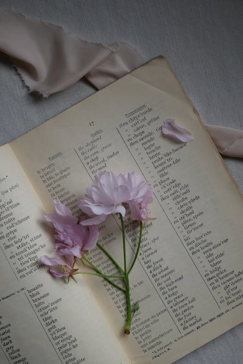 무료 꽃, 사전, 수직 쐈어의 무료 스톡 사진