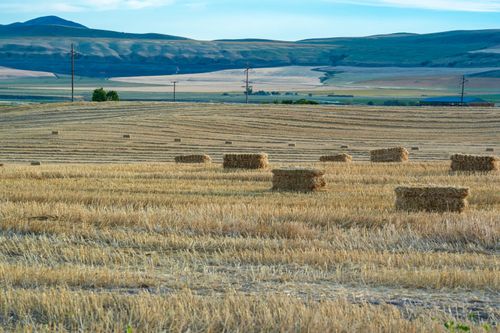 Free Beautiful summer landscape of hay bales on farmland in Newton, UT under clear skies. Stock Photo