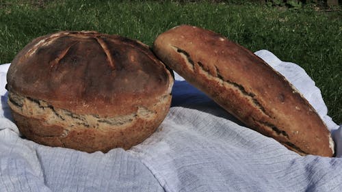 Základová fotografie zdarma na téma brązowy chleb, chleb pszenny, flatbread