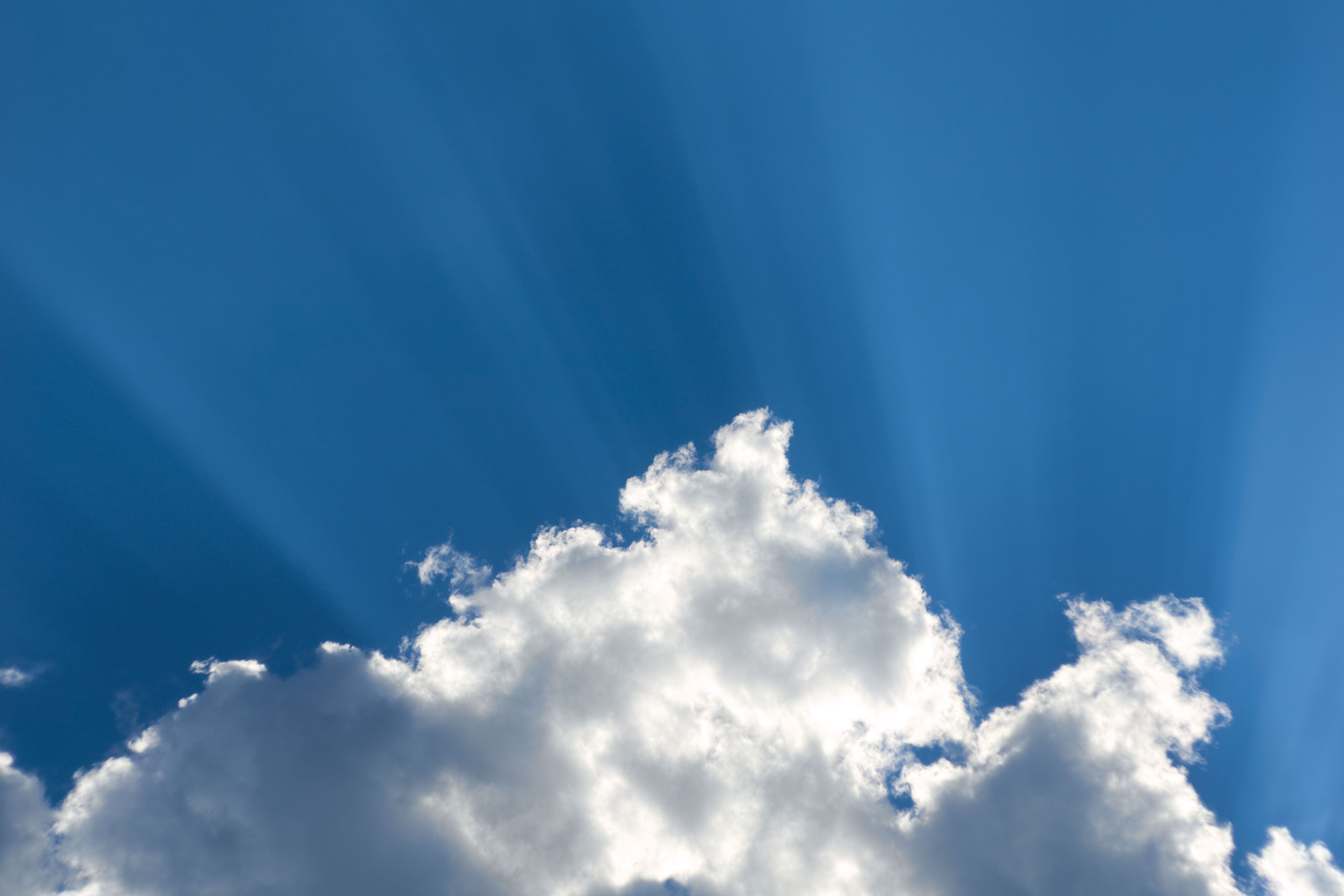 OpenCLaw on AMD Developer Cloud: Free Deployment with Qwen 3.5 and SGLang — Photo by Андрей Архипов on Pexels