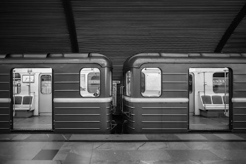 Grayscale Photo of a Train