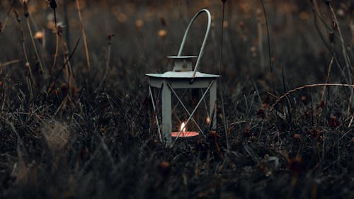 Candle on Grass