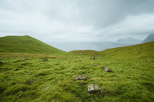 Lush green hills with an ocean view under a cloudy sky, perfect for nature lovers.